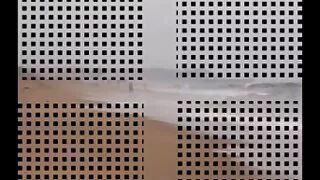이혼한 아버지에 대한 근친상간 셀카 졸리는 갈색 머리와 부드러운 음부