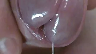 침대에서 좋은 섹스를 위해 아름다움을 깨웠다